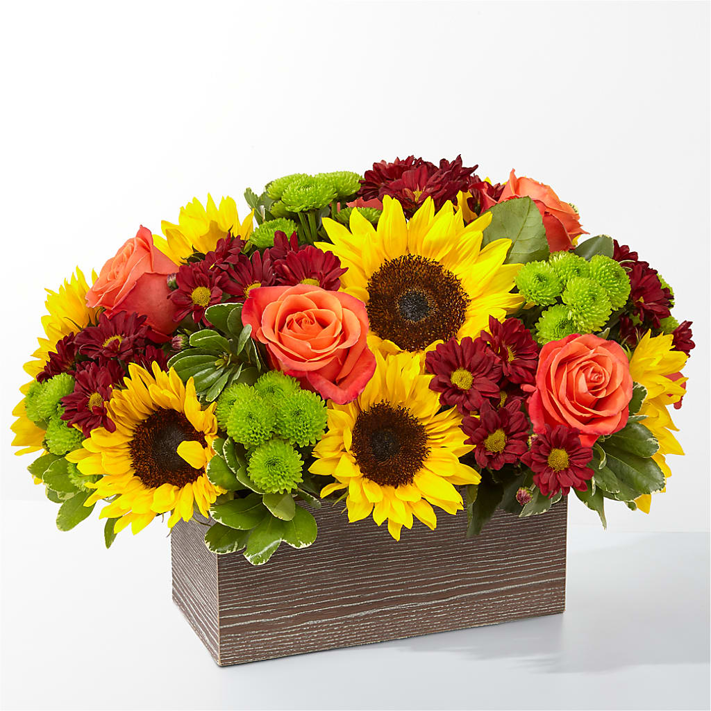 Happy Harvest Garden – Bloomsy Flowers And Supply, Clayton NC