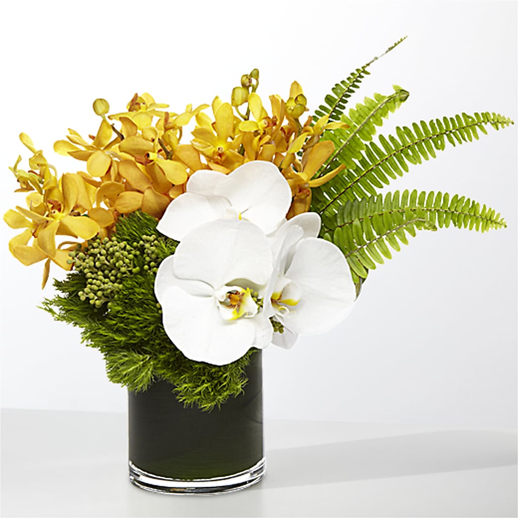 The Tropics – Bloomsy Flowers And Supply, Clayton NC