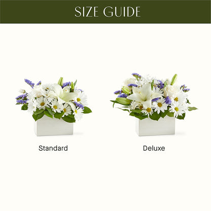 Beyond Blue Box Bouquet –  Bloomsy Flowers And Supply, Clayton NC