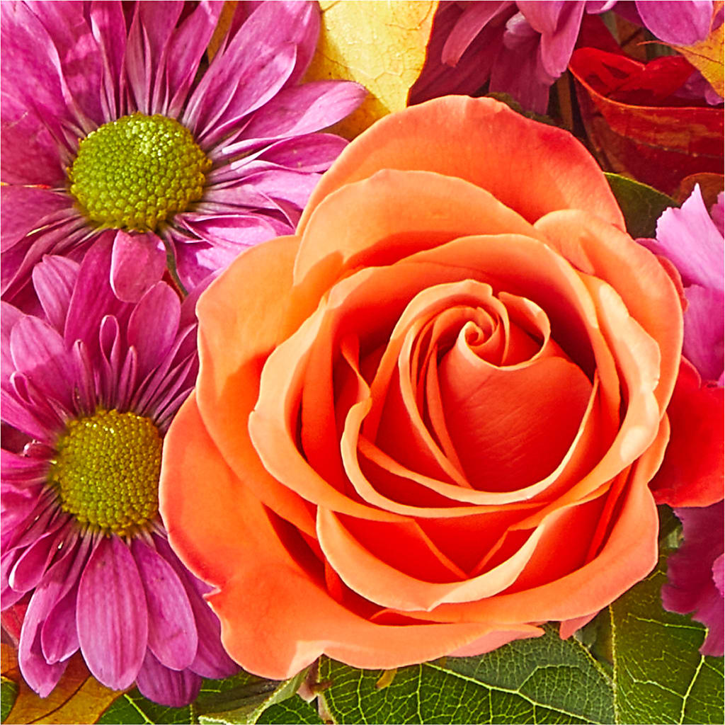 Mum's the Word Bouquet –  Bloomsy Flowers And Supply, Clayton NC
